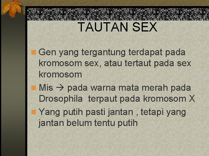 TAUTAN SEX n Gen yang tergantung terdapat pada kromosom sex, atau tertaut pada sex