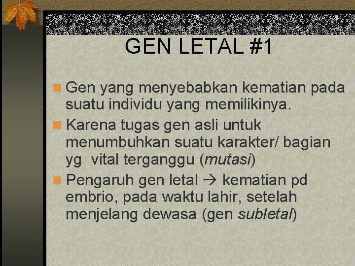 GEN LETAL #1 n Gen yang menyebabkan kematian pada suatu individu yang memilikinya. n