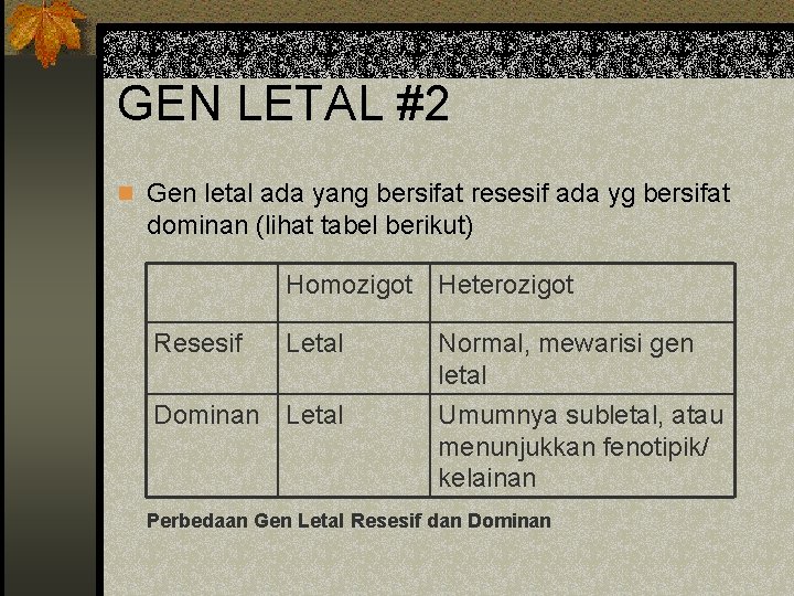 GEN LETAL #2 n Gen letal ada yang bersifat resesif ada yg bersifat dominan