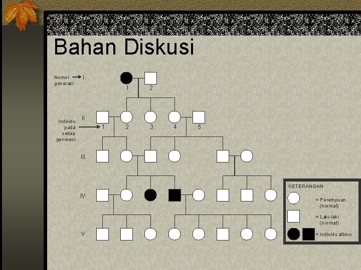 Bahan Diskusi Nomor generasi Individu pada setiap generasi I 1 2 2 3 II