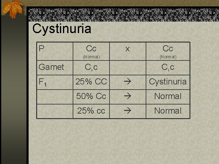 Cystinuria P Gamet F 1 Cc x Cc (Normal) C, c 25% CC Cystinuria