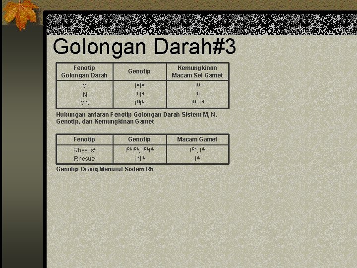 Golongan Darah#3 Fenotip Golongan Darah Genotip Kemungkinan Macam Sel Gamet M N MN I