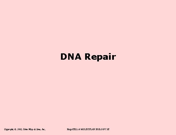 DNA Repair Copyright, ©, 2002, John Wiley & Sons, Inc. , Karp/CELL & MOLECULAR