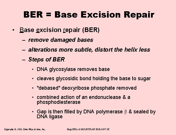 BER = Base Excision Repair • Base excision repair (BER) – remove damaged bases