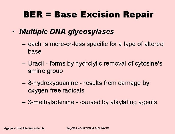 BER = Base Excision Repair • Multiple DNA glycosylases – each is more-or-less specific