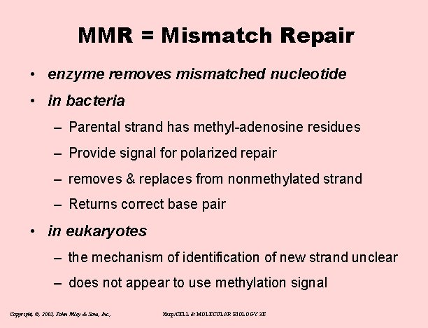 MMR = Mismatch Repair • enzyme removes mismatched nucleotide • in bacteria – Parental