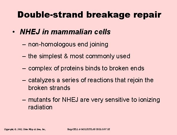 Double-strand breakage repair • NHEJ in mammalian cells – non-homologous end joining – the