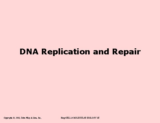 DNA Replication and Repair Copyright, ©, 2002, John Wiley & Sons, Inc. , Karp/CELL