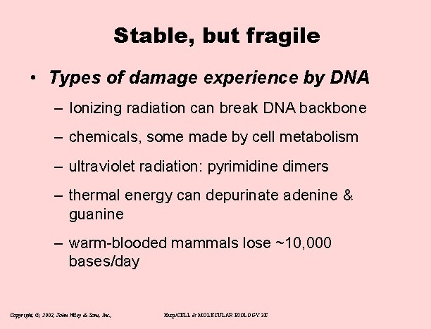 Stable, but fragile • Types of damage experience by DNA – Ionizing radiation can
