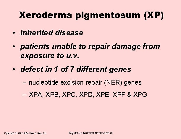 Xeroderma pigmentosum (XP) • inherited disease • patients unable to repair damage from exposure