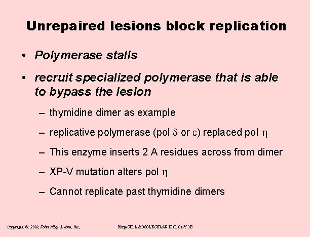 Unrepaired lesions block replication • Polymerase stalls • recruit specialized polymerase that is able