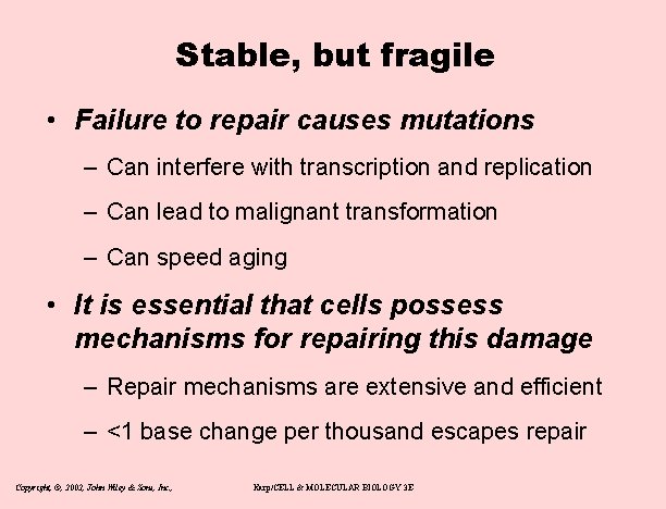 Stable, but fragile • Failure to repair causes mutations – Can interfere with transcription