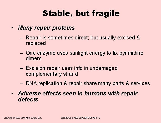 Stable, but fragile • Many repair proteins – Repair is sometimes direct; but usually