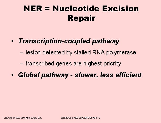 NER = Nucleotide Excision Repair • Transcription-coupled pathway – lesion detected by stalled RNA