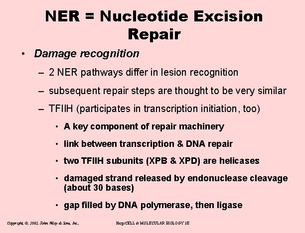 NER = Nucleotide Excision Repair • Damage recognition – 2 NER pathways differ in