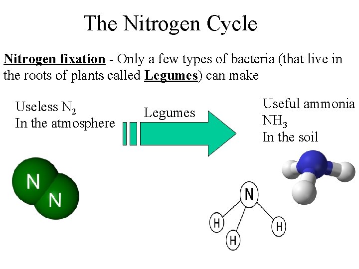 The Nitrogen Cycle Nitrogen fixation - Only a few types of bacteria (that live