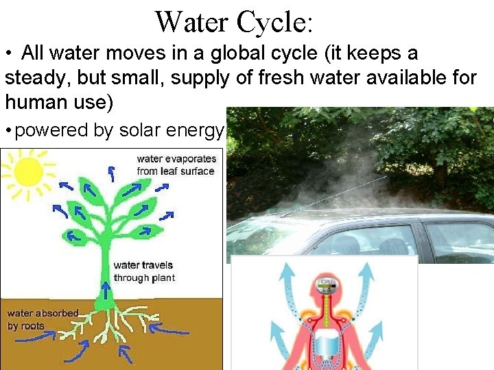 Water Cycle: • All water moves in a global cycle (it keeps a steady,