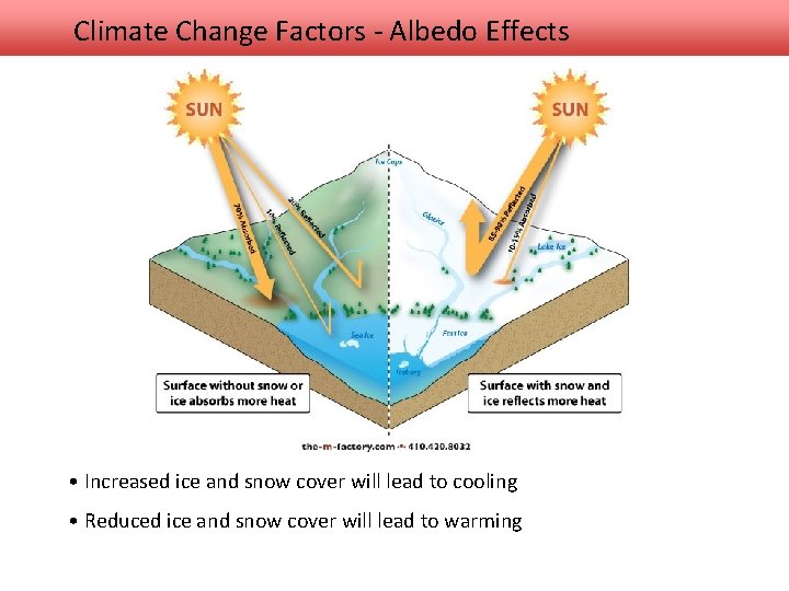 Climate Change Factors - Albedo Effects • Increased ice and snow cover will lead