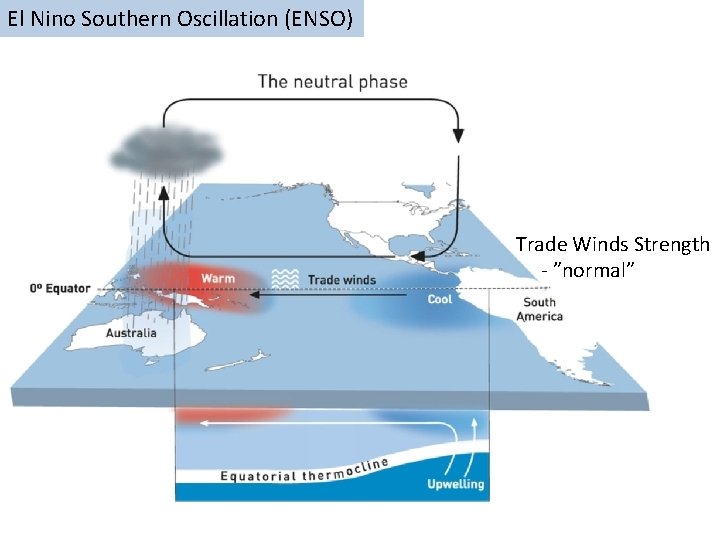 El Nino Southern Oscillation (ENSO) Trade Winds Strength - ”normal” 