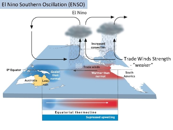 El Nino Southern Oscillation (ENSO) Trade Winds Strength - ”weaker” 
