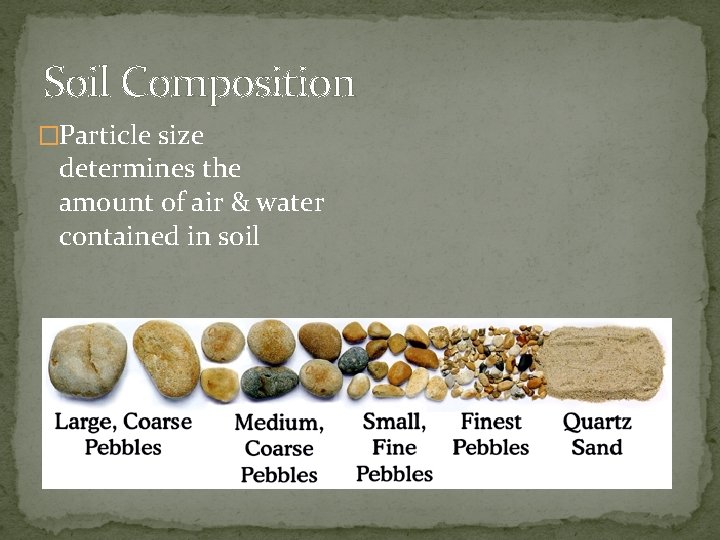 Soil Composition �Particle size determines the amount of air & water contained in soil