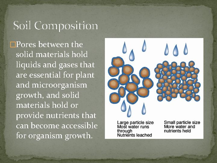 Soil Composition �Pores between the solid materials hold liquids and gases that are essential