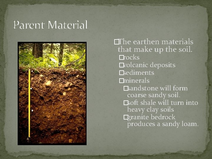 Parent Material �The earthen materials that make up the soil. �rocks �volcanic deposits �sediments