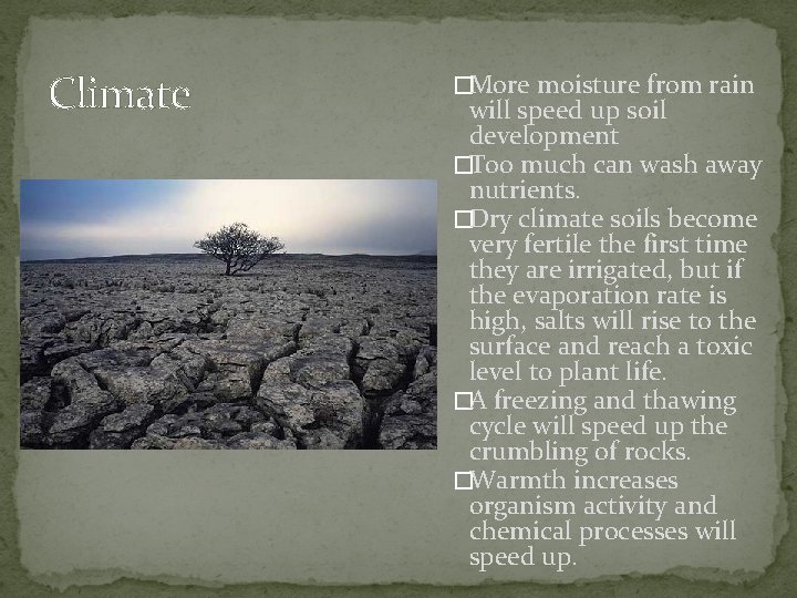 Climate �More moisture from rain will speed up soil development �Too much can wash