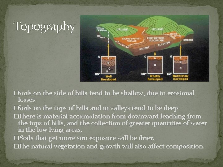 Topography �Soils on the side of hills tend to be shallow, due to erosional