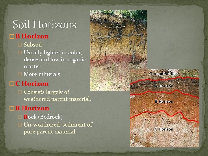 Soil Horizons � B Horizon � Subsoil � Usually lighter in color, dense and