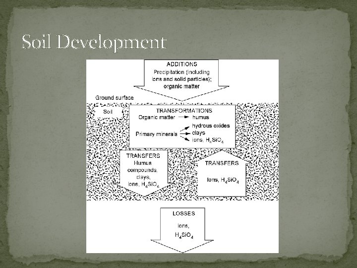 Soil Development 