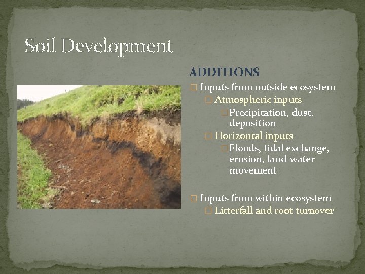 Soil Development ADDITIONS � Inputs from outside ecosystem � Atmospheric inputs �Precipitation, dust, deposition