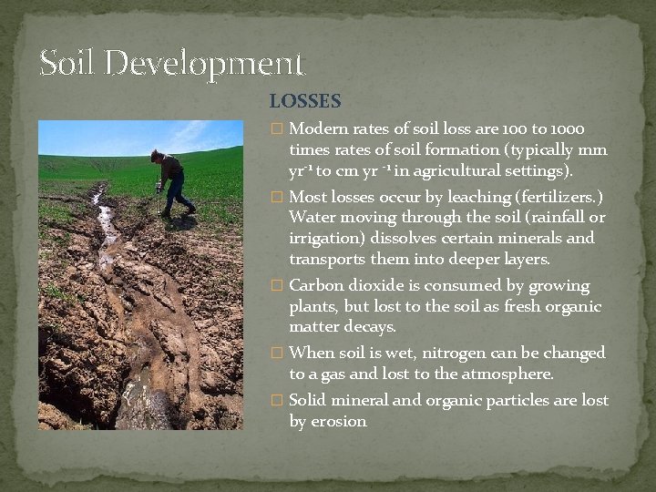 Soil Development LOSSES � Modern rates of soil loss are 100 to 1000 times