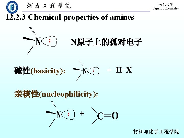 有机化学 Organic chemistry 12. 2. 3 Chemical properties of amines N原子上的孤对电子 + H X