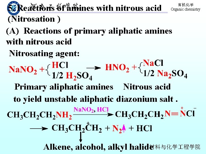5. Reactions of amines with nitrous acid (Nitrosation ) (A) Reactions of primary aliphatic