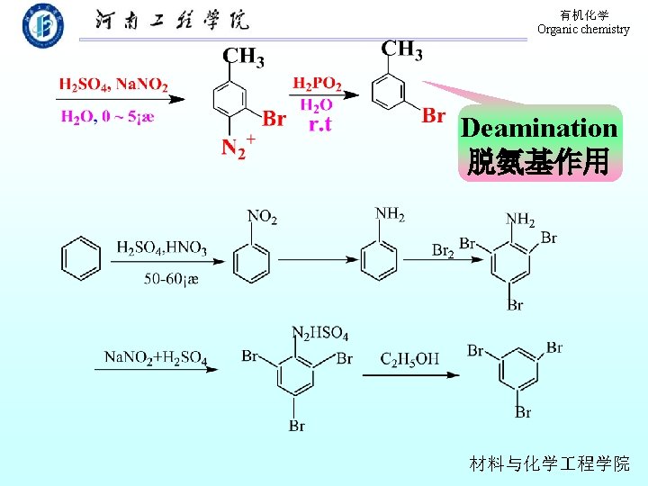 有机化学 Organic chemistry Deamination 脱氨基作用 材料与化学 程学院 