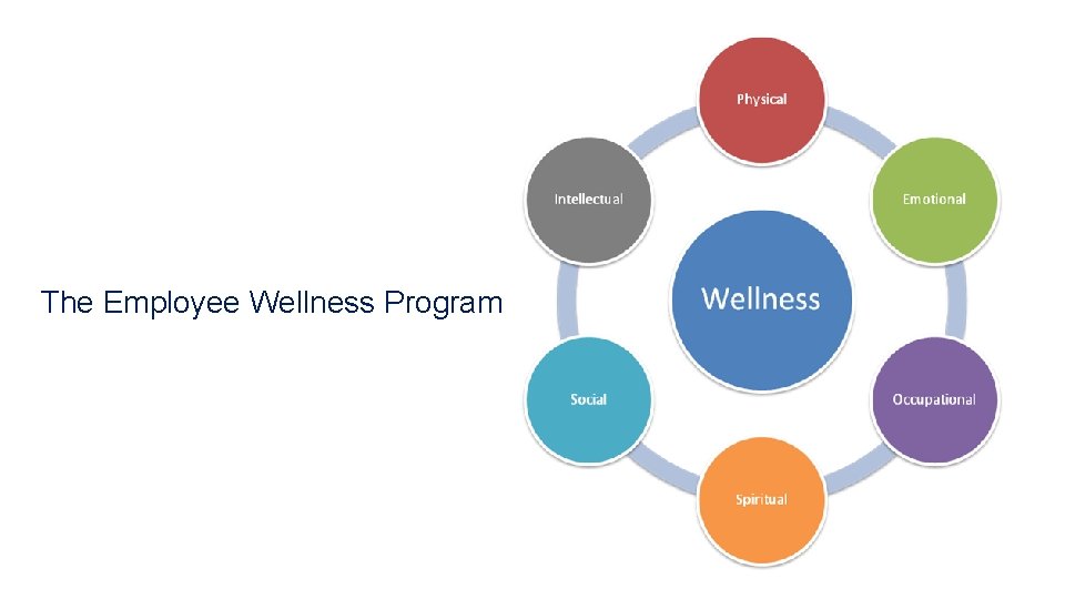 The Employee Wellness Program 