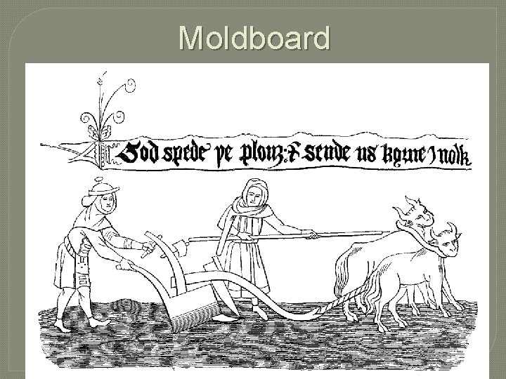 Moldboard 
