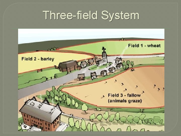 Three-field System 