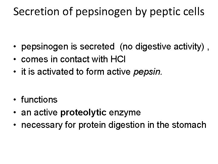 Secretion of pepsinogen by peptic cells • pepsinogen is secreted (no digestive activity) ,