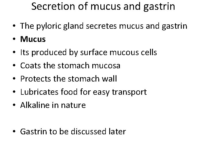 Secretion of mucus and gastrin • • The pyloric gland secretes mucus and gastrin