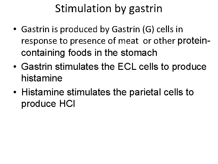 Stimulation by gastrin • Gastrin is produced by Gastrin (G) cells in response to