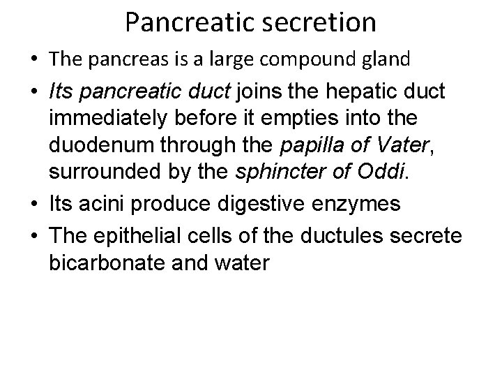 Pancreatic secretion • The pancreas is a large compound gland • Its pancreatic duct