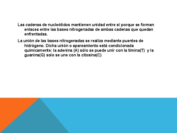 Las cadenas de nucleótidos mantienen unidad entre sí porque se forman enlaces entre las