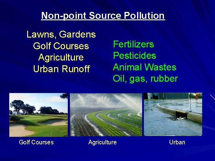 Non-point Source Pollution Lawns, Gardens Golf Courses Agriculture Urban Runoff Golf Courses Fertilizers Pesticides