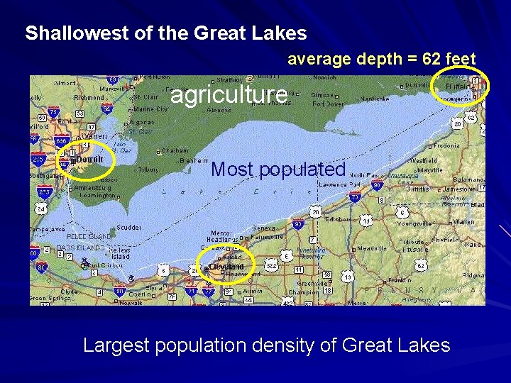 Shallowest of the Great Lakes average depth = 62 feet agriculture Most populated Largest