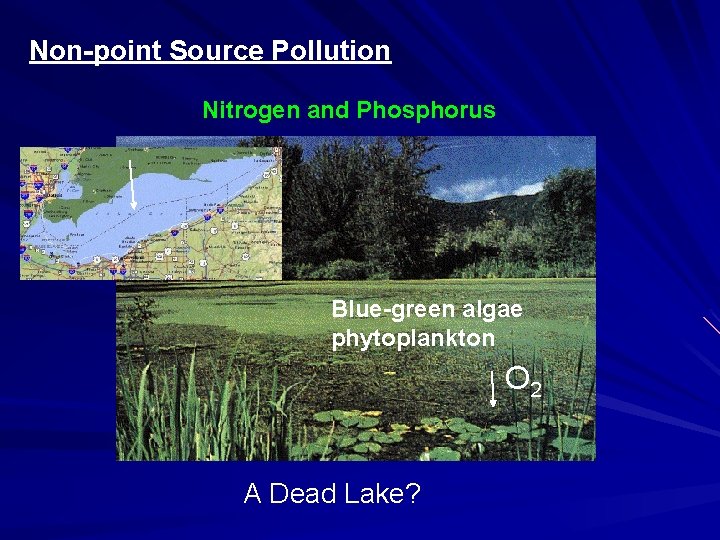 Non-point Source Pollution Nitrogen and Phosphorus Blue-green algae phytoplankton O 2 A Dead Lake?