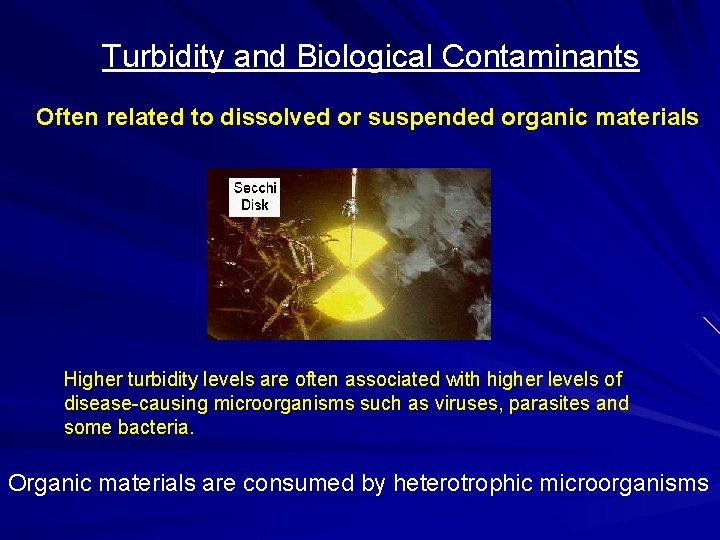 Turbidity and Biological Contaminants Often related to dissolved or suspended organic materials Higher turbidity