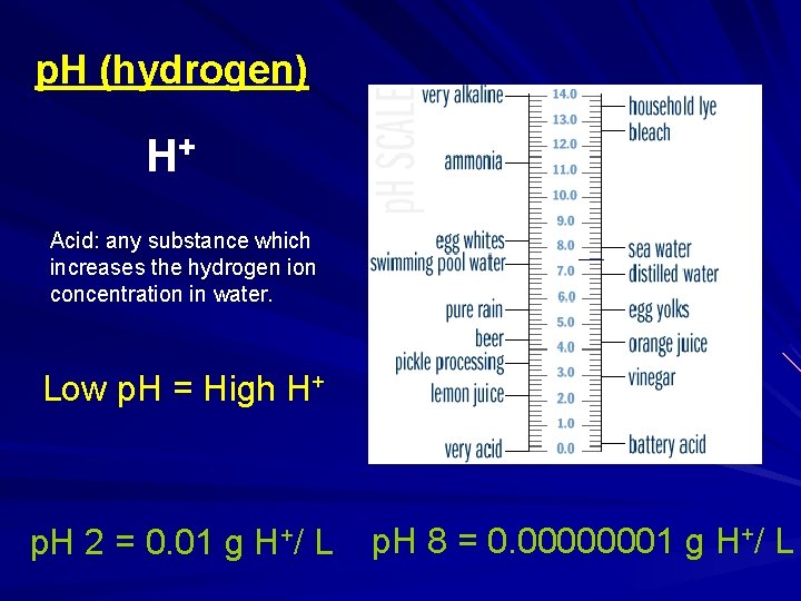 p. H (hydrogen) H+ Acid: any substance which increases the hydrogen ion concentration in