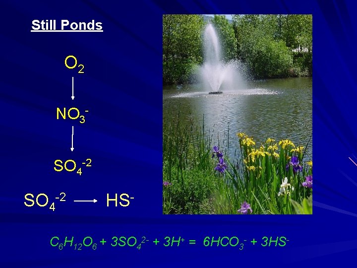 Still Ponds O 2 NO 3 SO 4 -2 HS- C 6 H 12